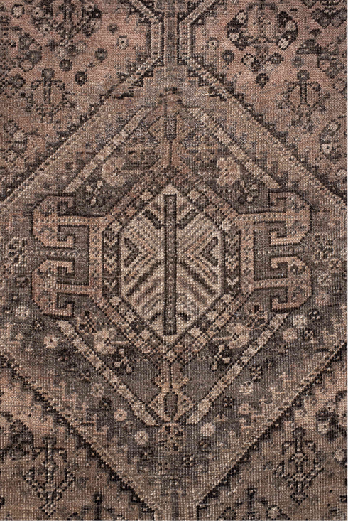 Vintage Shiraz Area Rug (7' x 10')